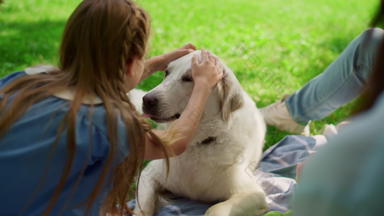 可爱的女孩拥抱<strong>拉布拉多</strong>公园野餐快乐的孩子拥抱狗在户外